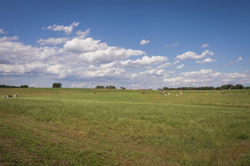 Fotobanka s bezplatnými fotkami na tému balík, dedinský, farma