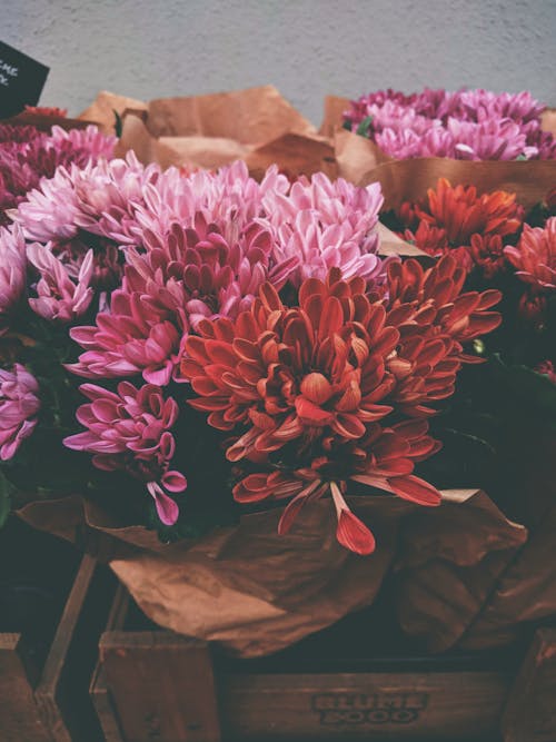 粉色和紅色的鮮花花束