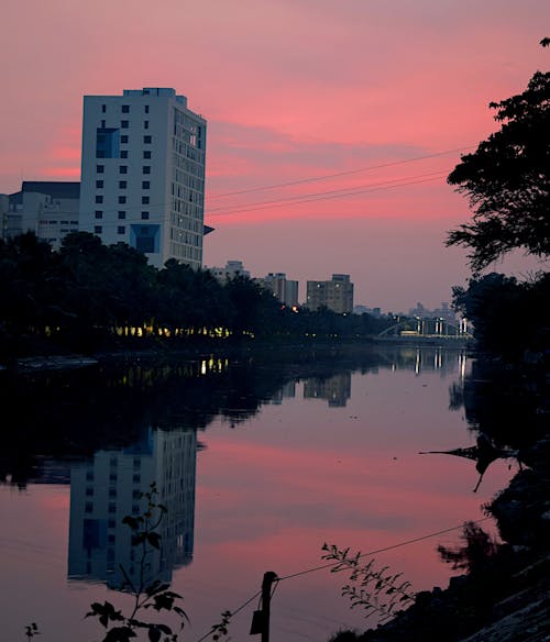 Immagine gratuita di acqua calma, alberi, cielo rosa