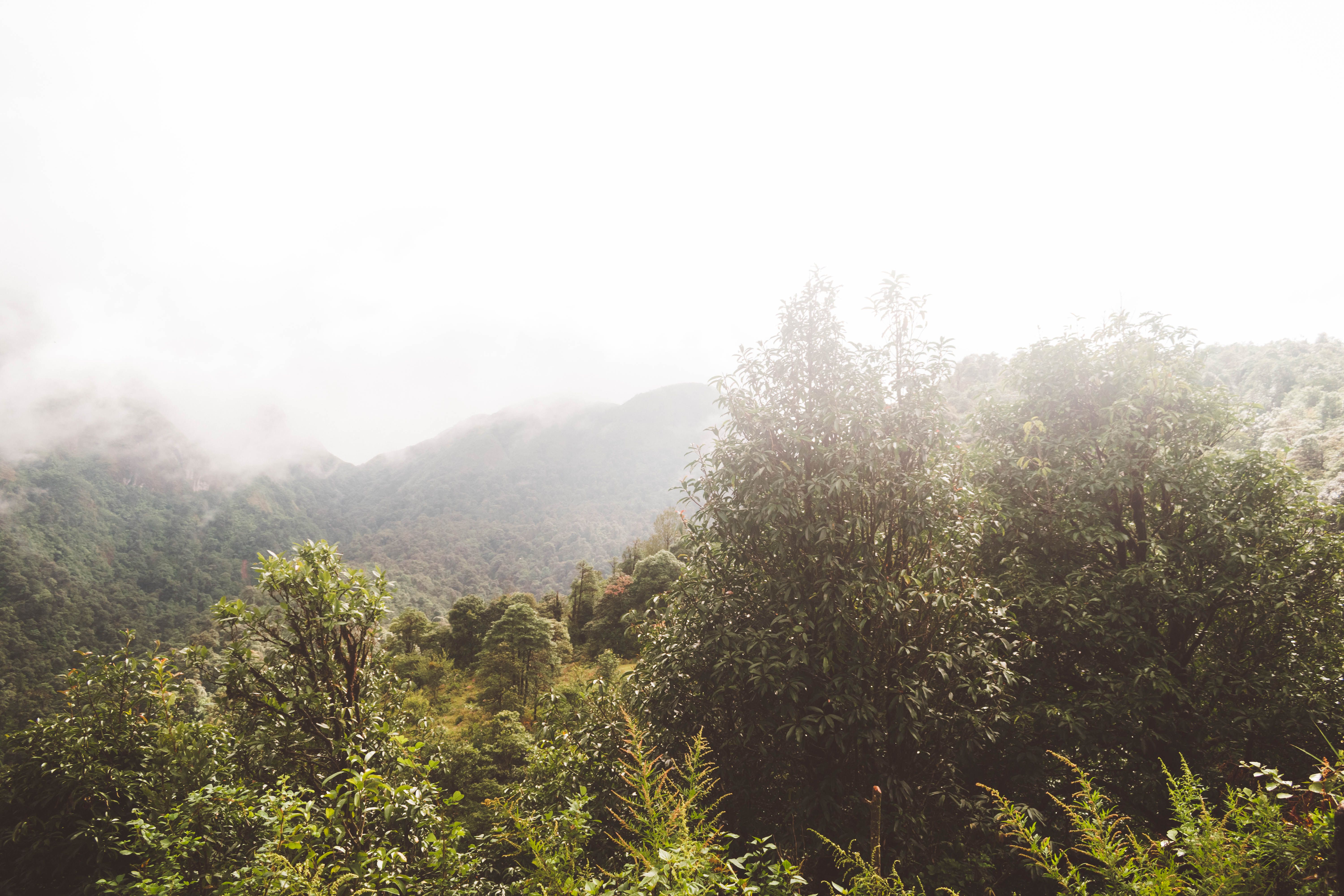 14 Day Ayurveda Weight-Loss & Detox Retreat at Veda5 in Rishikesh 1