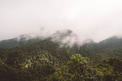Free A mesmerizing view of mist-covered lush green mountains captured from above on a cloudy day. Stock Photo