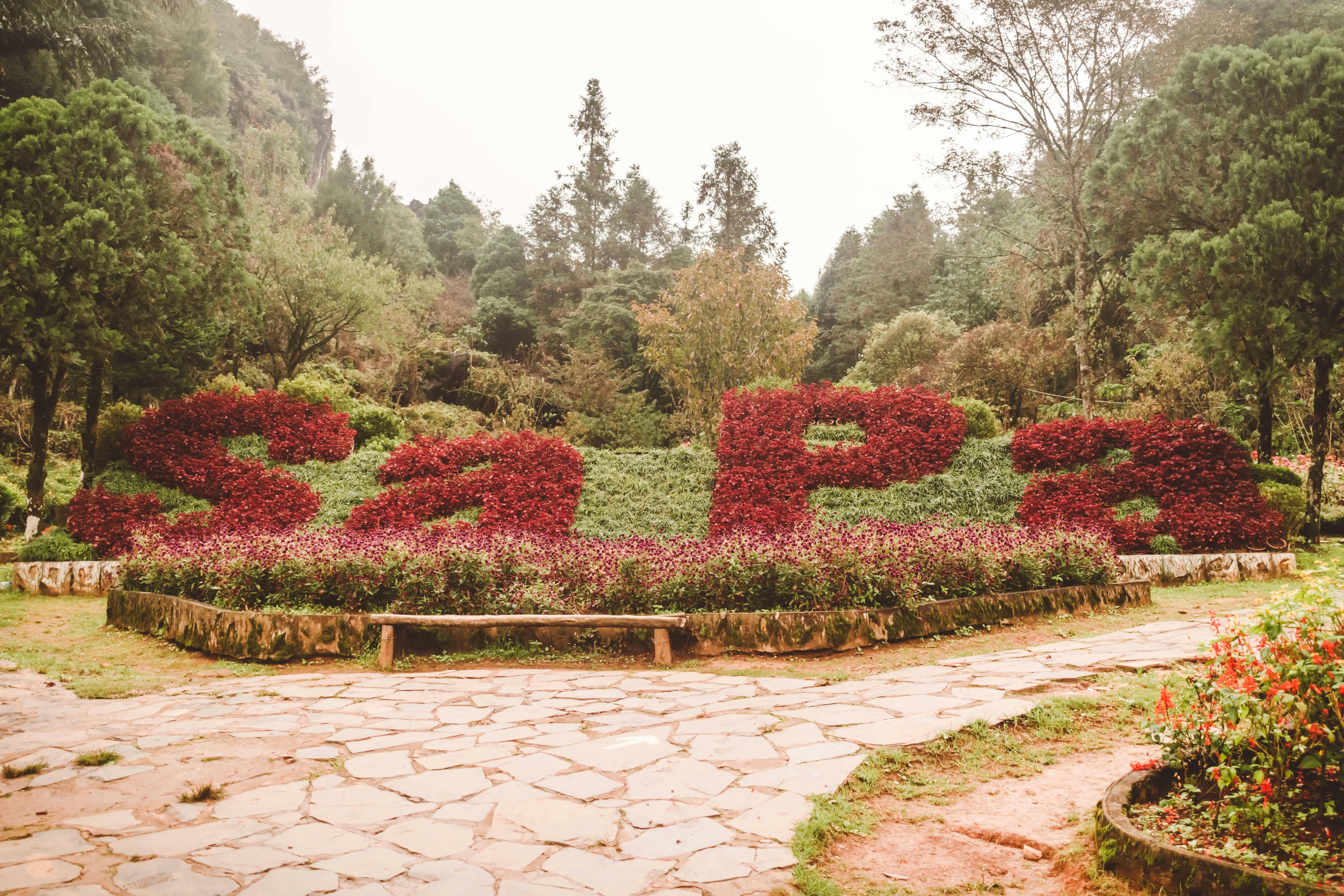 Beautiful floral arrangement spelling 'Sa Pa' in a lush park setting. - Sa Pa