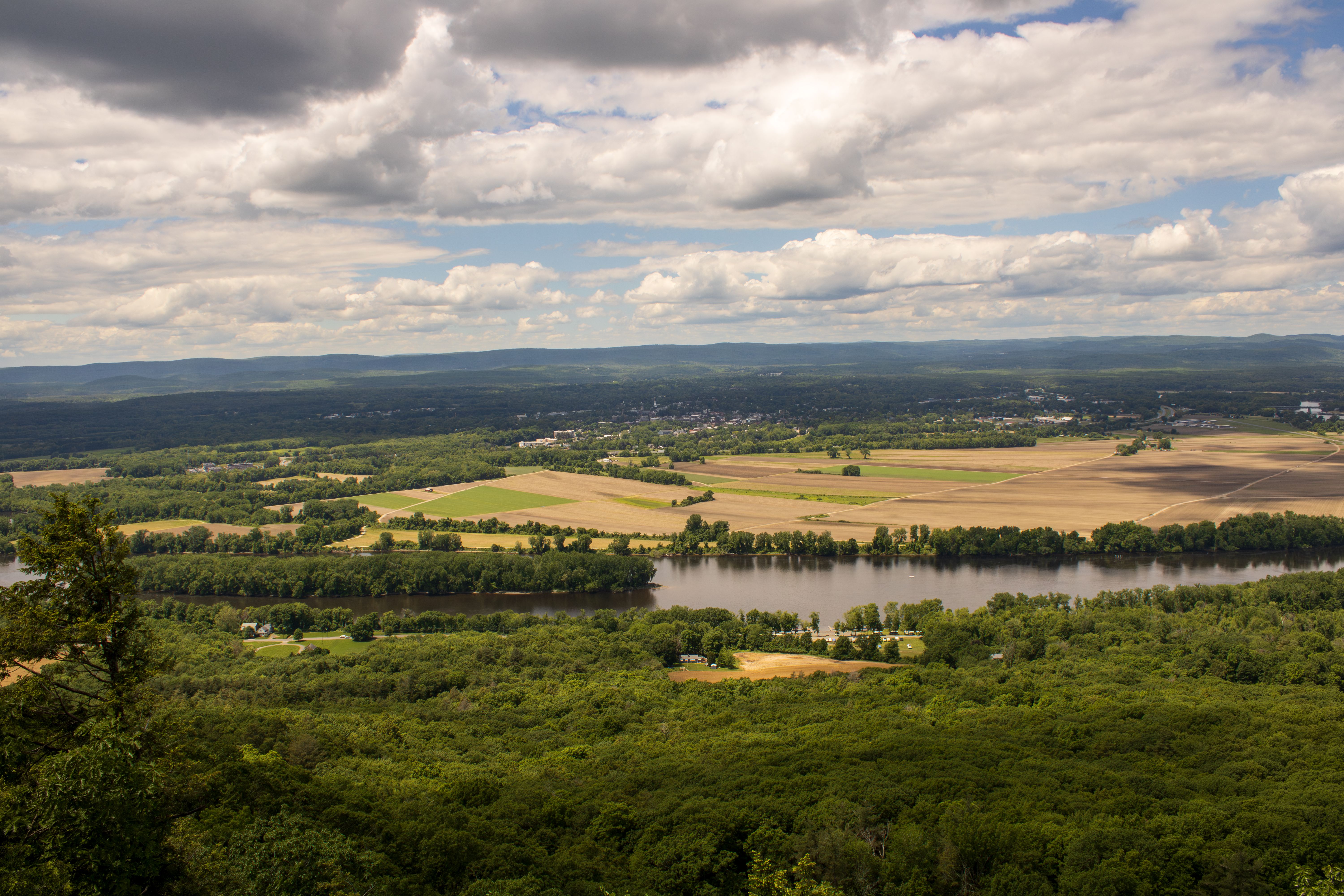 First Finger Lakes cannabis growers showcase kicks off at Lincoln Hill Farms — Photo by Tim Dusenberry on Pexels