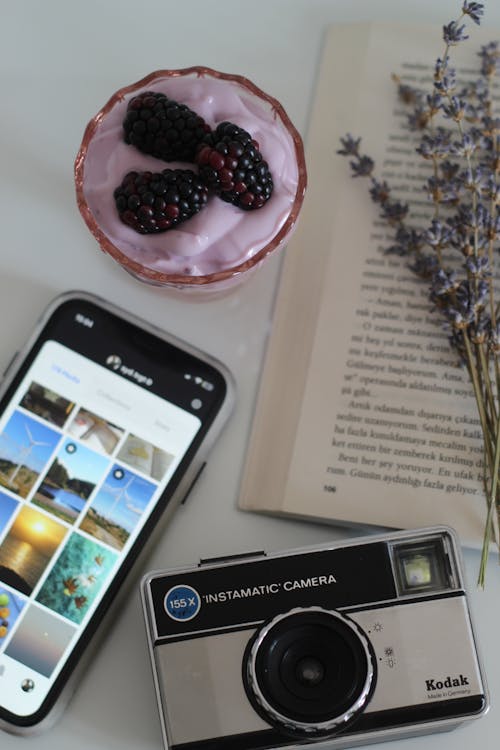 Základová fotografie zdarma na téma blackberry, čokoláda, cukr