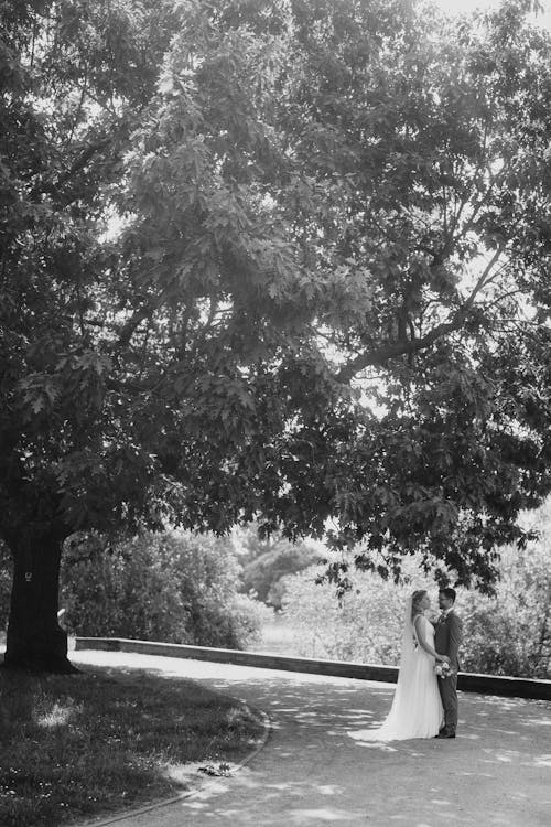 공원, 나무, 남자의 무료 스톡 사진