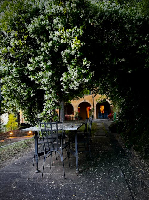 Foto profissional grátis de Itália, natureza, toscana