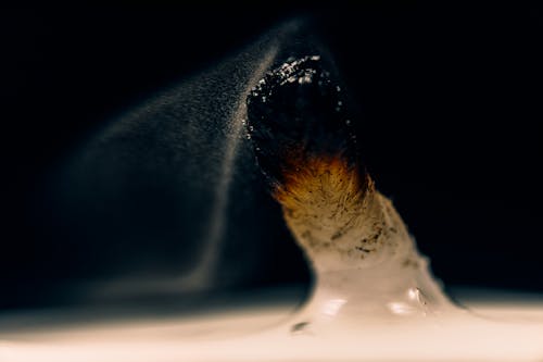 Foto profissional grátis de fotografia de pequenos seres, fumaça, fundo preto