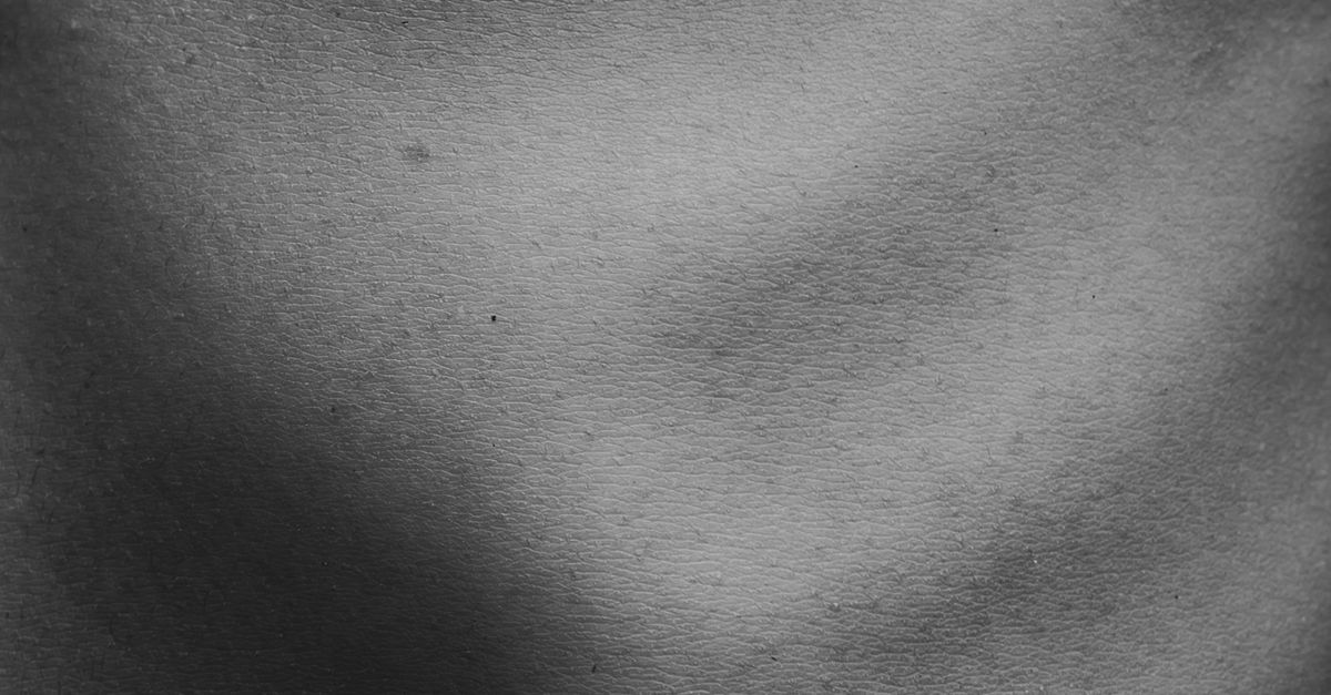 Normal Rib Skin Close-up of the Ribs Showing Through the Skin · Free Stock Photo
