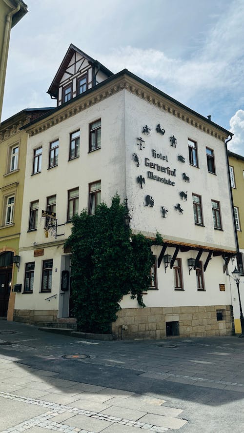 Základová fotografie zdarma na téma dvojitých dveřích, historické architektury, káva