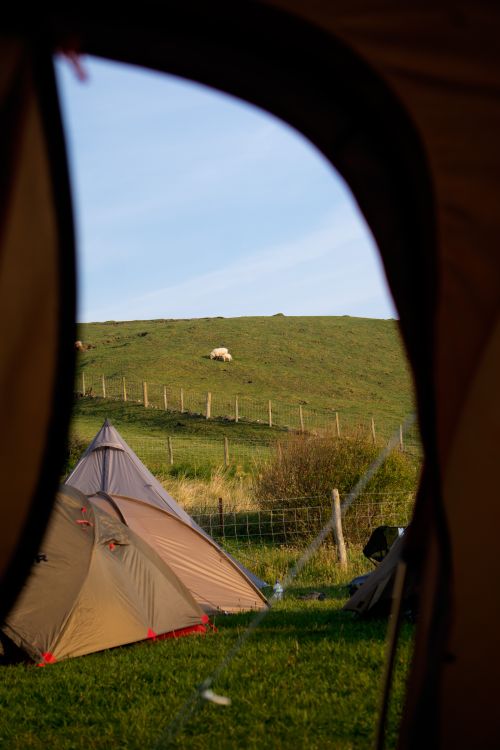 Free Tranquil camping scene with tents in a rural field, featuring a blue sky and grazing sheep. Stock Photo