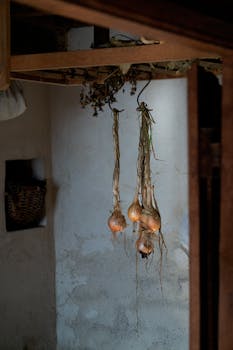 Three onions hanging in a rustic kitchen with wooden beams, creating a vintage ambiance.
