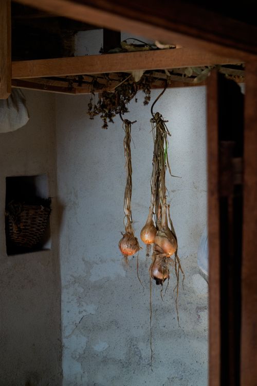 Free Three onions hanging in a rustic kitchen with wooden beams, creating a vintage ambiance. Stock Photo