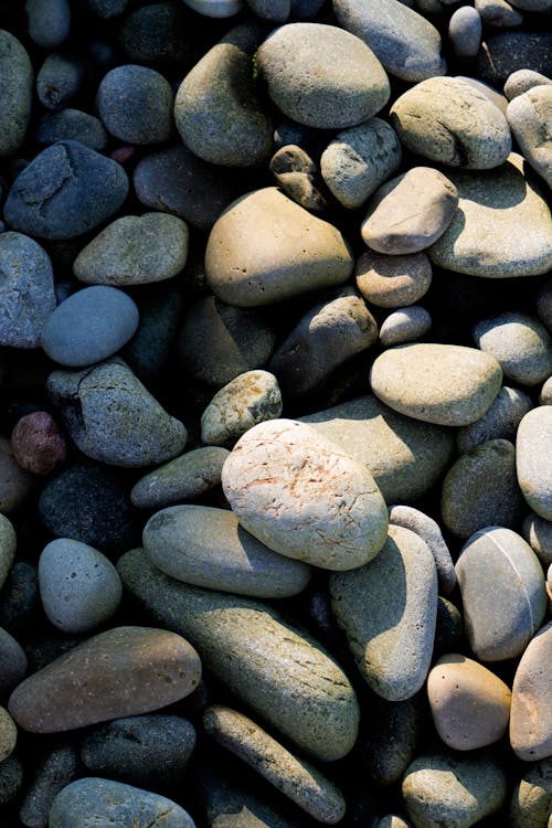 Free Pile of Stones Stock Photo