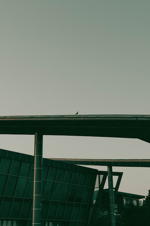 A person walking on a bridge over a building