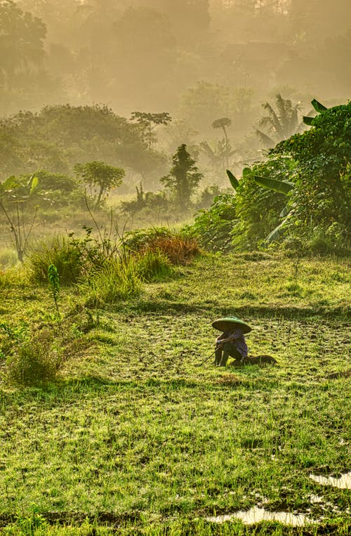 Photo of Person Sitting on Grass Field