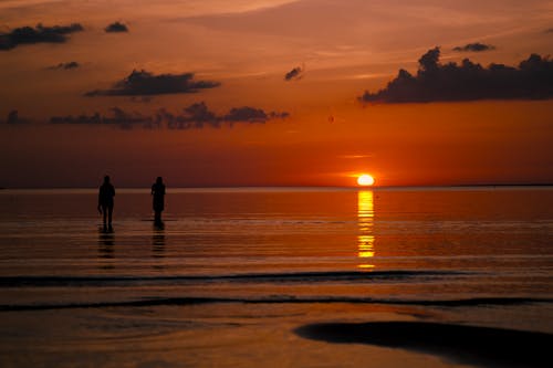 People walking in the sea during a sunset