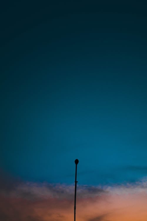 Free stock photo of lamp post, silhouette, sunset Stock Photo