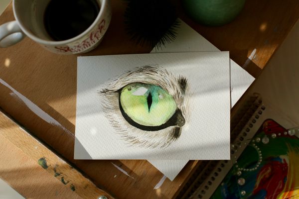 Watercolour study of a cat eye — Hüsna Şimşek on Pexels