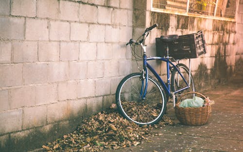 Free stock photo of bicycle, leaves, nest Stock Photo