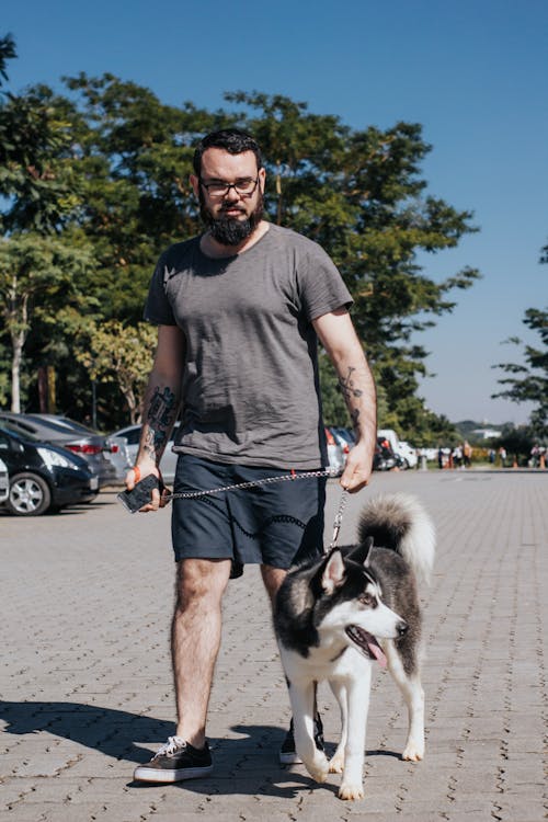 A Man Walking With A Siberian Husky
