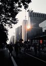 日落时分，现代建筑矗立在拥挤的城市街道上，描绘出完美的城市生活