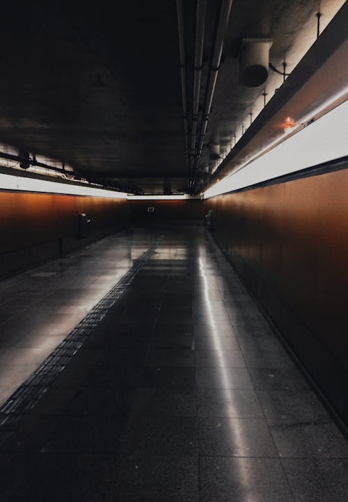 Photo of Empty Subway
