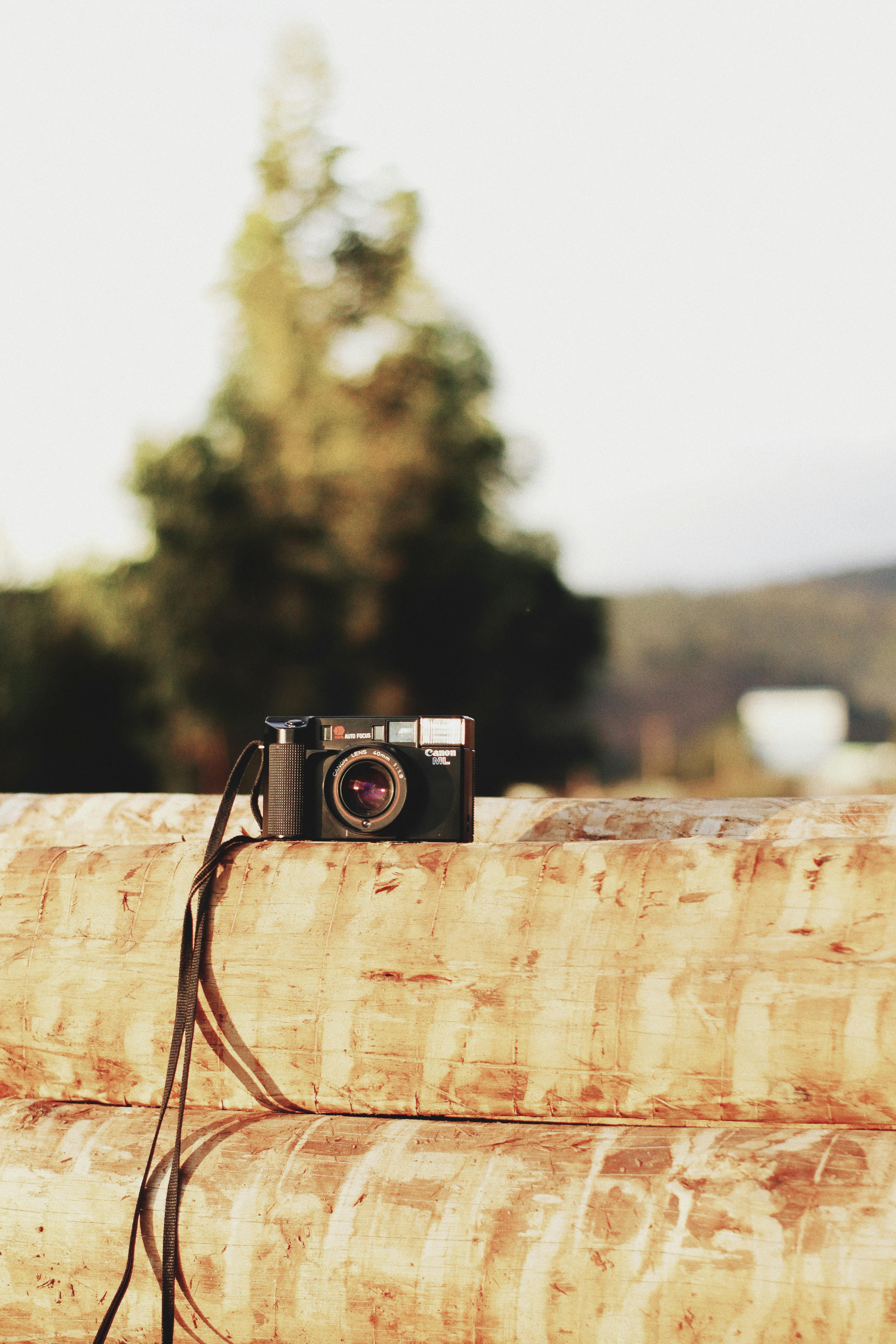 A vintage camera rests on a wooden log outdoors with an artistic blur in the background.