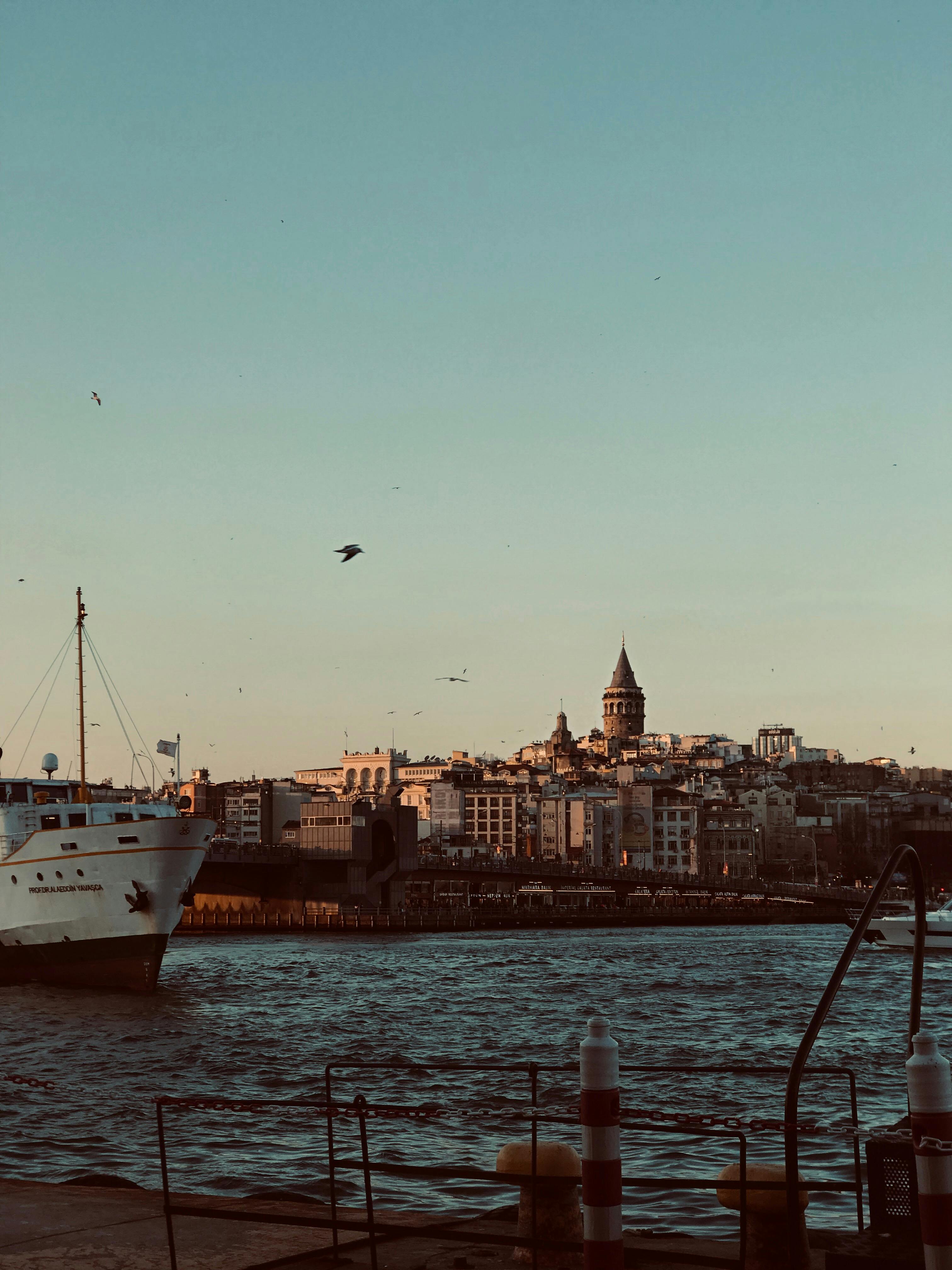 White Ship on Body of Water Near Buildings \u00b7 Free Stock Photo