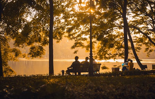 Free People Seated on a Bench at the Park Stock Photo