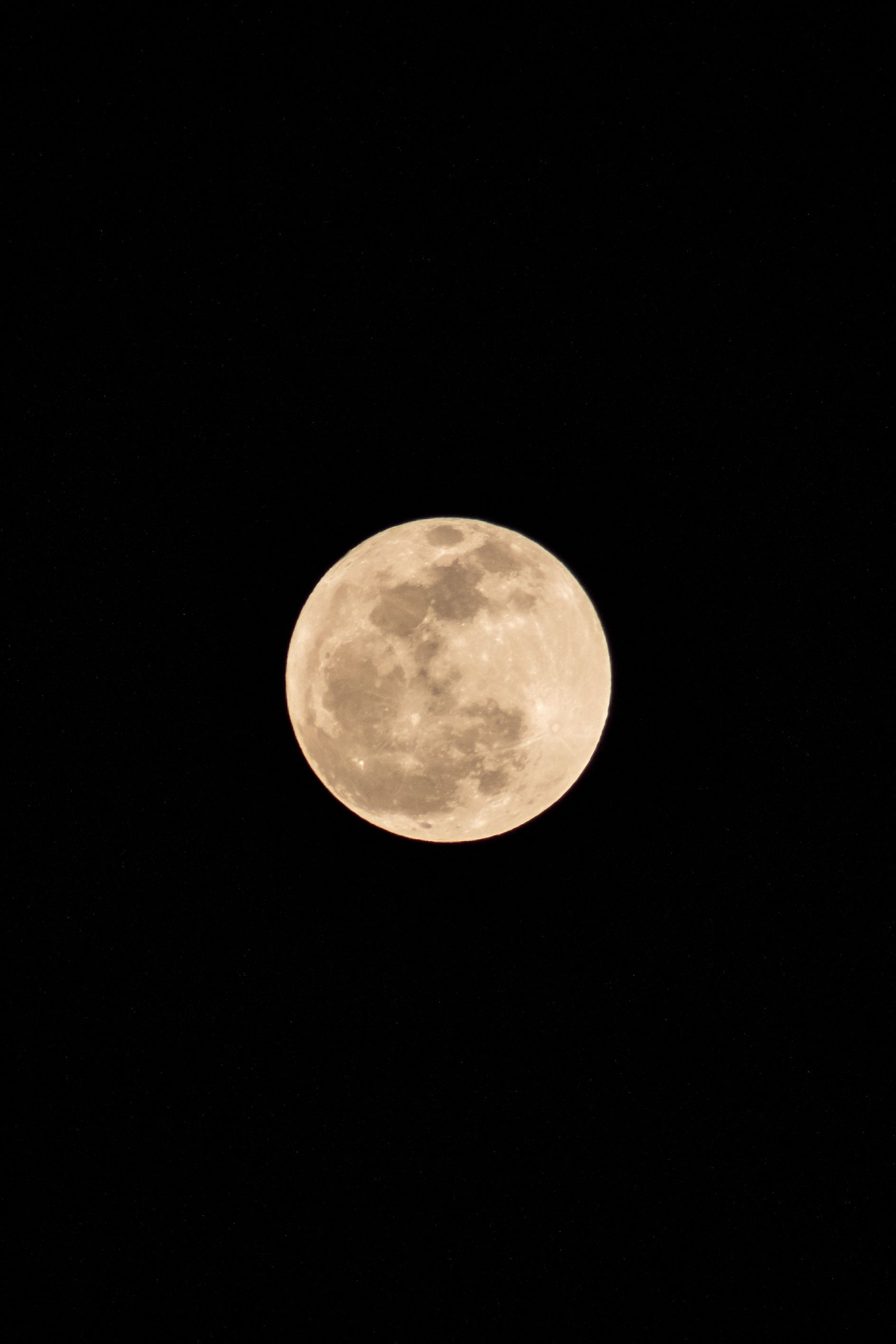 Full Moon in the Night Sky · Free Stock Photo