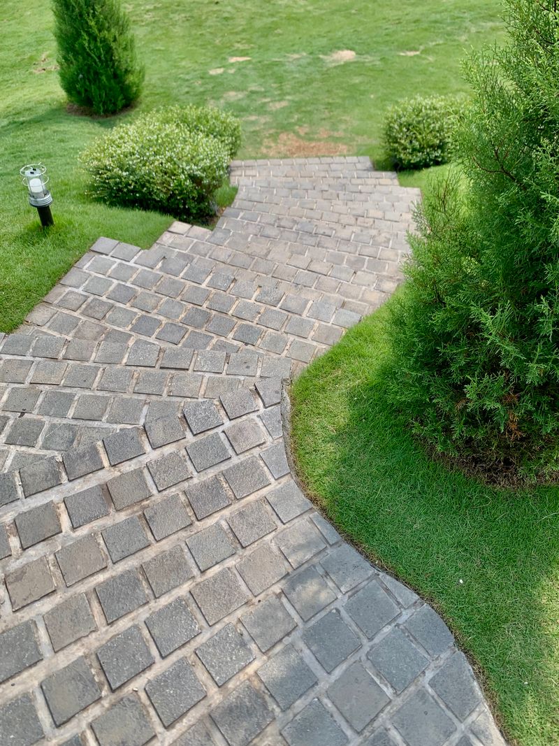 Brick steps leading to a garden in Plumstead
