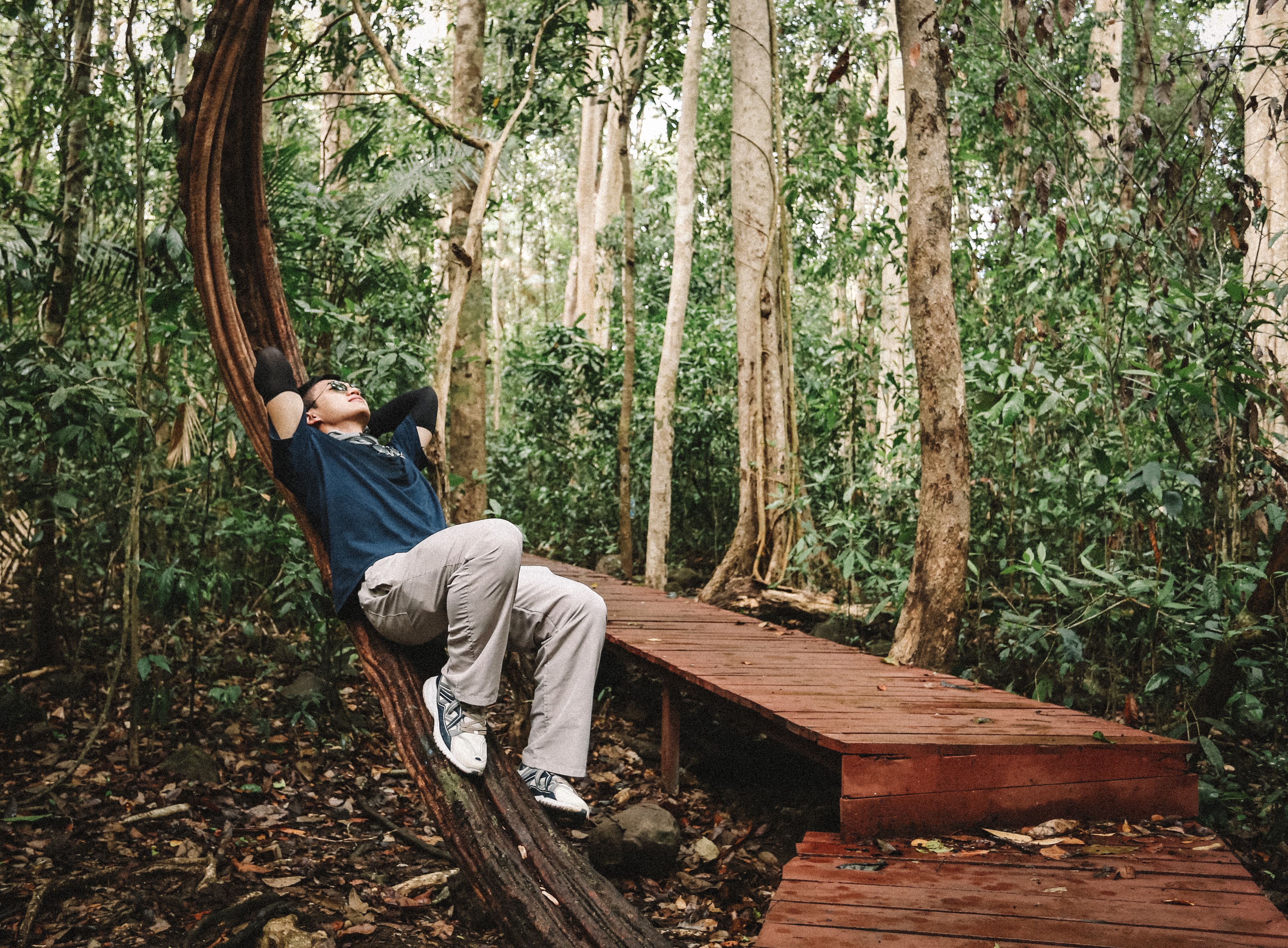 Man Lying on a Tree Trunk in a Forest · Free Stock Photo