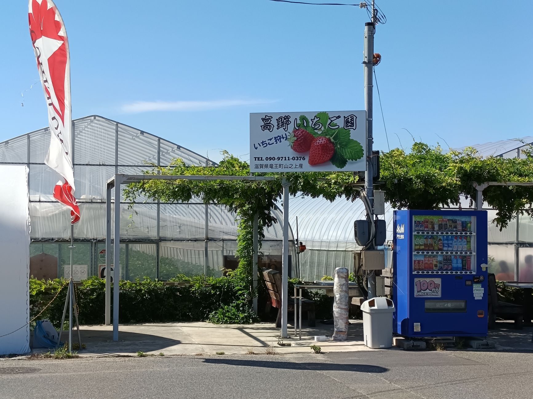 5月フルーツ狩り 関東で人気のいちご狩りスポットと千葉の農園