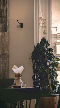 A peaceful, sunlit dining area with a coffee maker and houseplant, perfect for relaxation.
