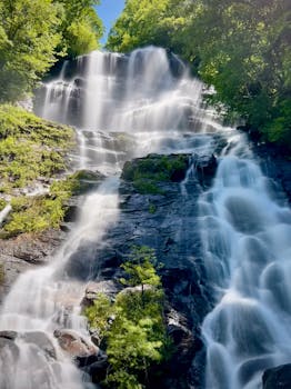 Image by Connor Scott McManus