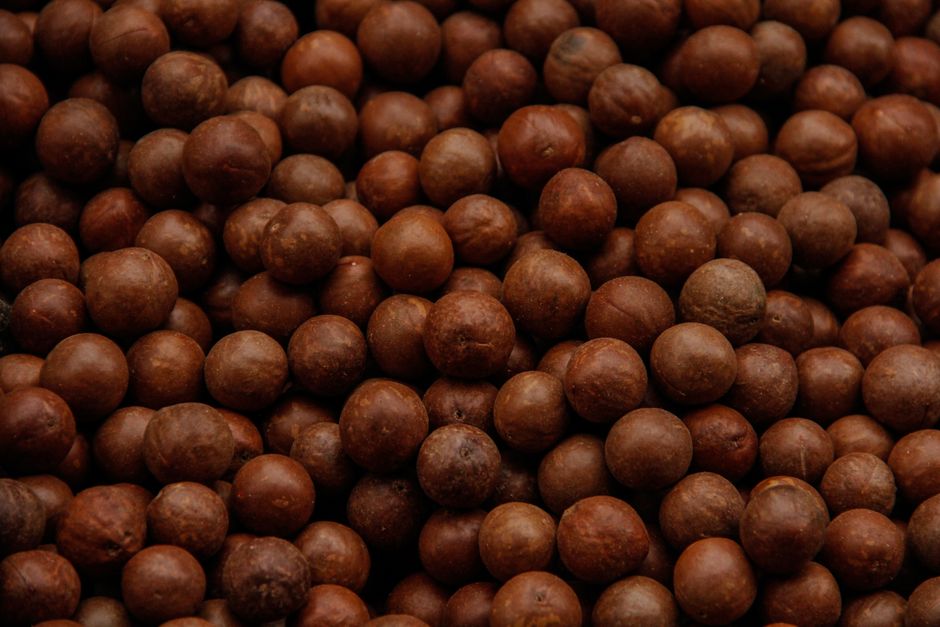 Nguồn Cung Cấp Sỉ Hạt Macca Tận Xưởng Giá Tốt Cho Đại Lý 4 A detailed close-up image showcasing a textured pile of raw macadamia nuts in natural lighting.