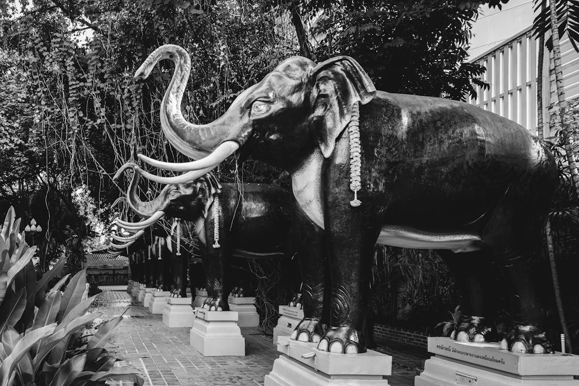 Free stock photo of elephant, elephant temple, hindu