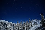 白雪覆盖的松树和山脉上，星空迷人