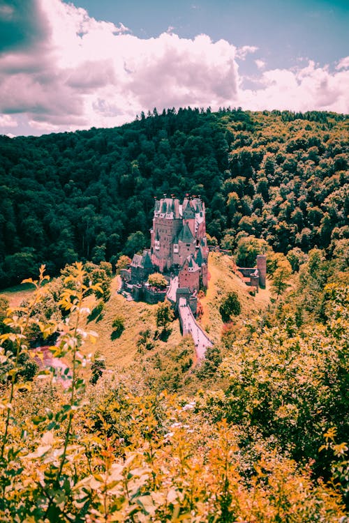 Free Aerial Photo of Castle Surrounded by Trees Stock Photo