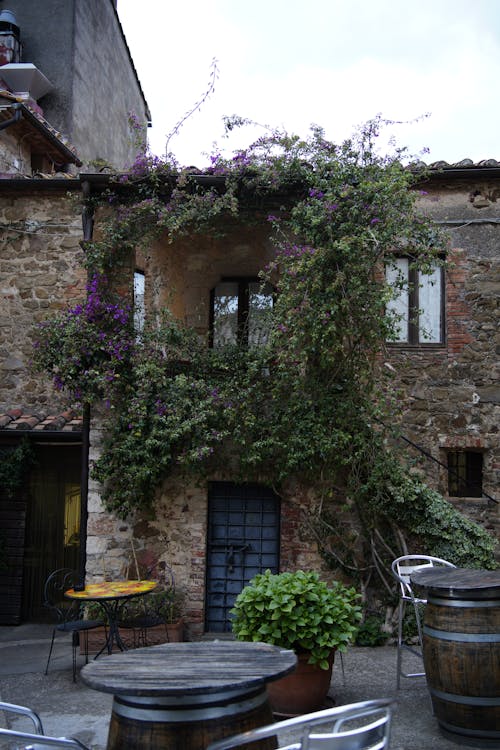 Free stock photo of architettura, borgo, fiori