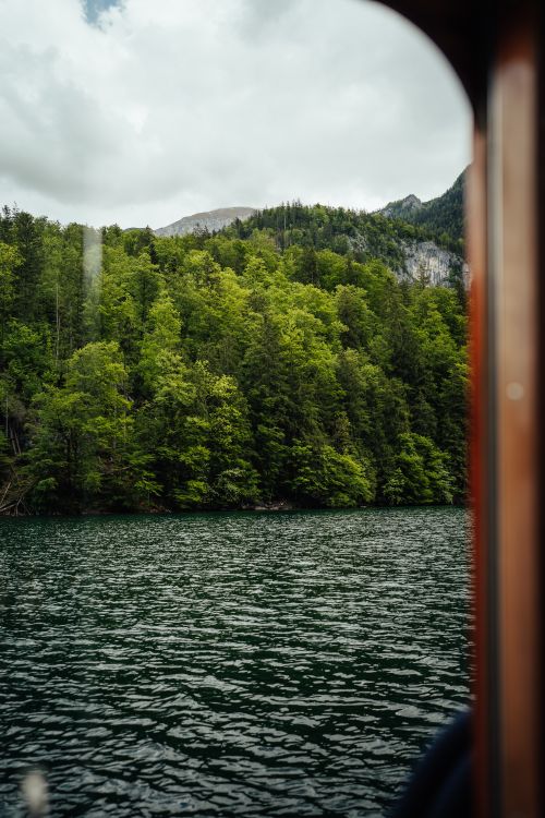 Free Serene view of lush forest and tranquil river seen through a boat window. Stock Photo