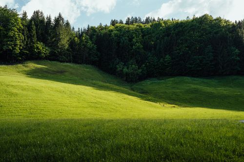 Free Lush green hills and dense forest under a bright summer sky. Stock Photo