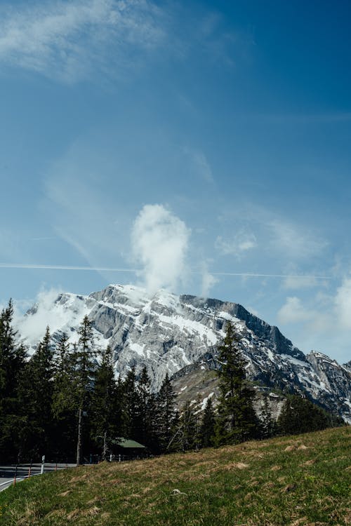 Безкоштовне стокове фото на тему «високий, гора, Деревина»