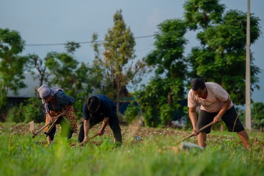 Farming with passion the feeding purpose - 江南体育