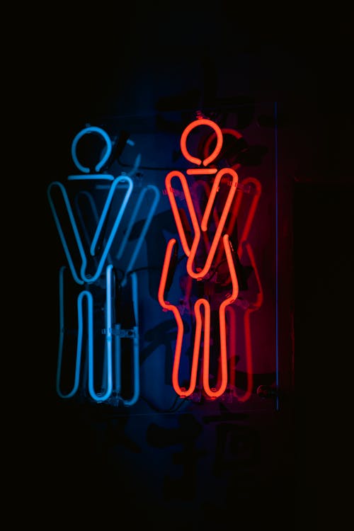 A neon sign with a man and woman in the shape of a toilet