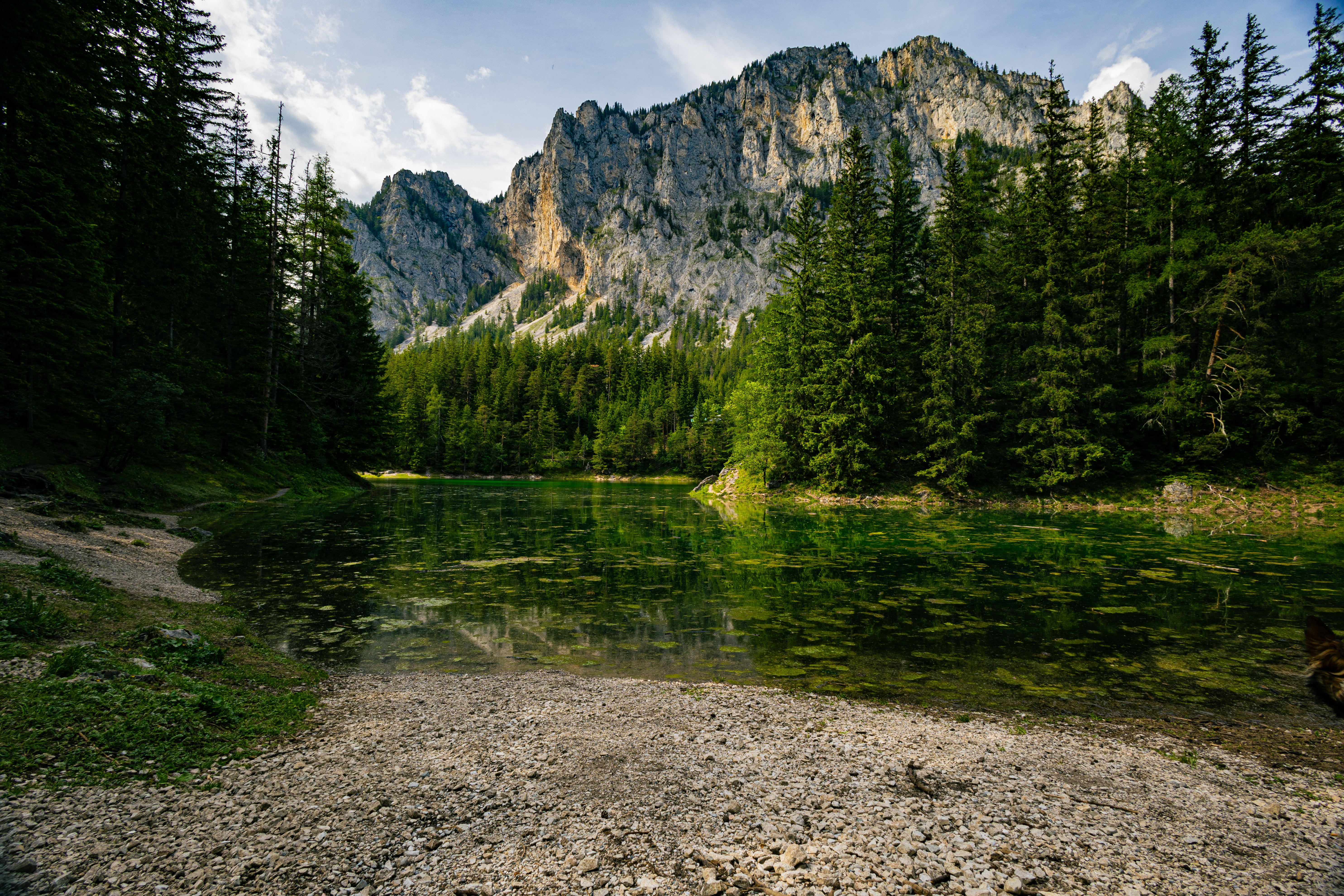 Grüner See