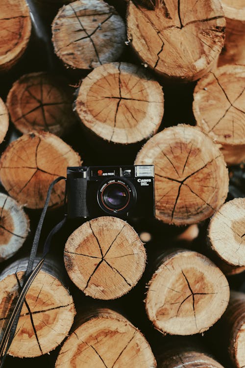 Free Photo of Canon Camera On Wooden Log Stock Photo