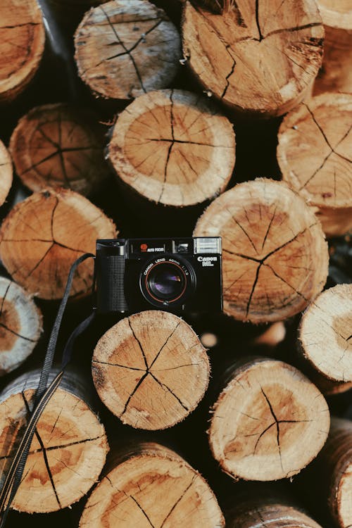 Photo De L'appareil Photo Canon Sur Journal En Bois