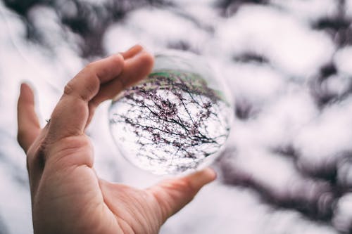 Close-Up Photo of Person Holding Lensball