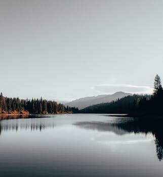 宁静的湖面倒映着山脉和树木，是自然爱好者的完美去处